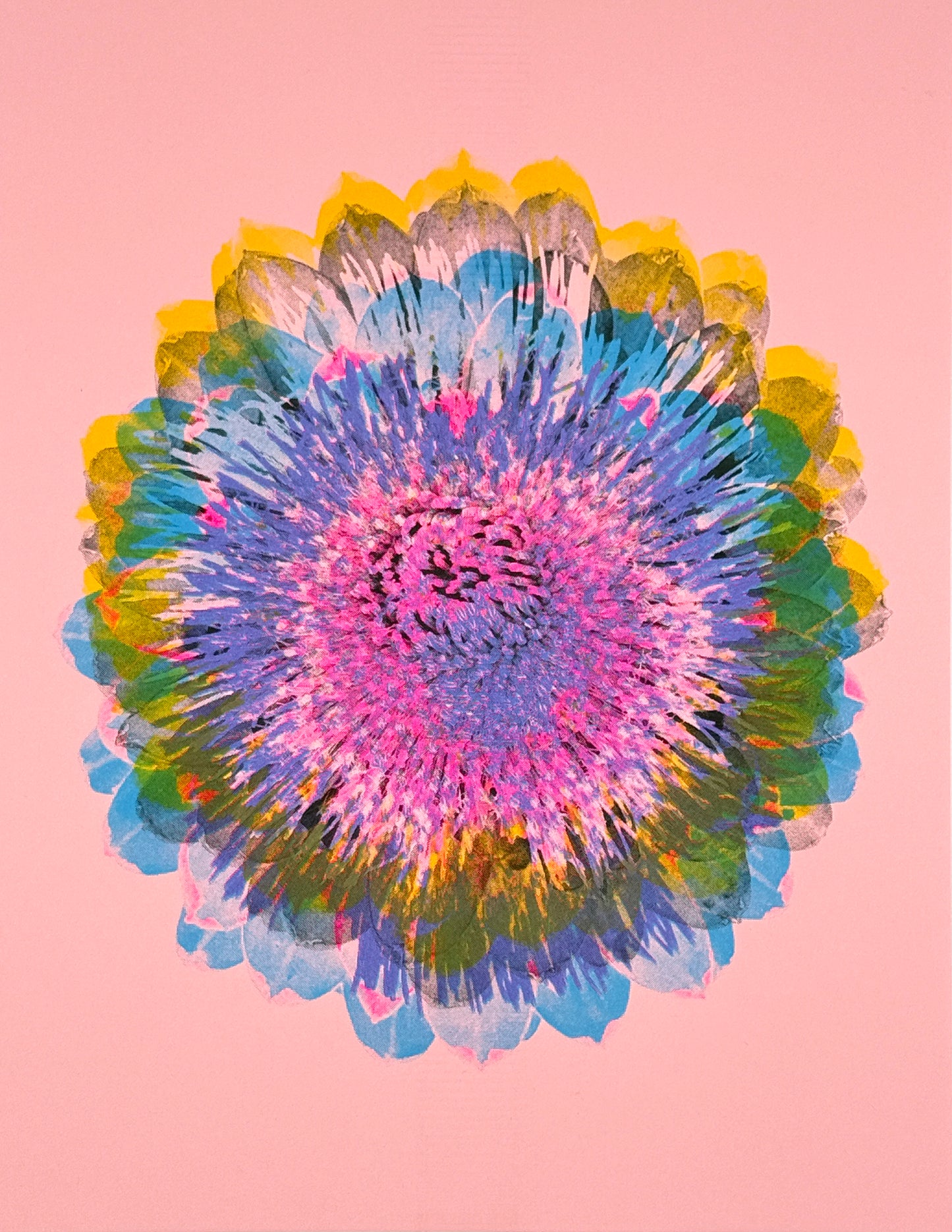 Artichoke 5