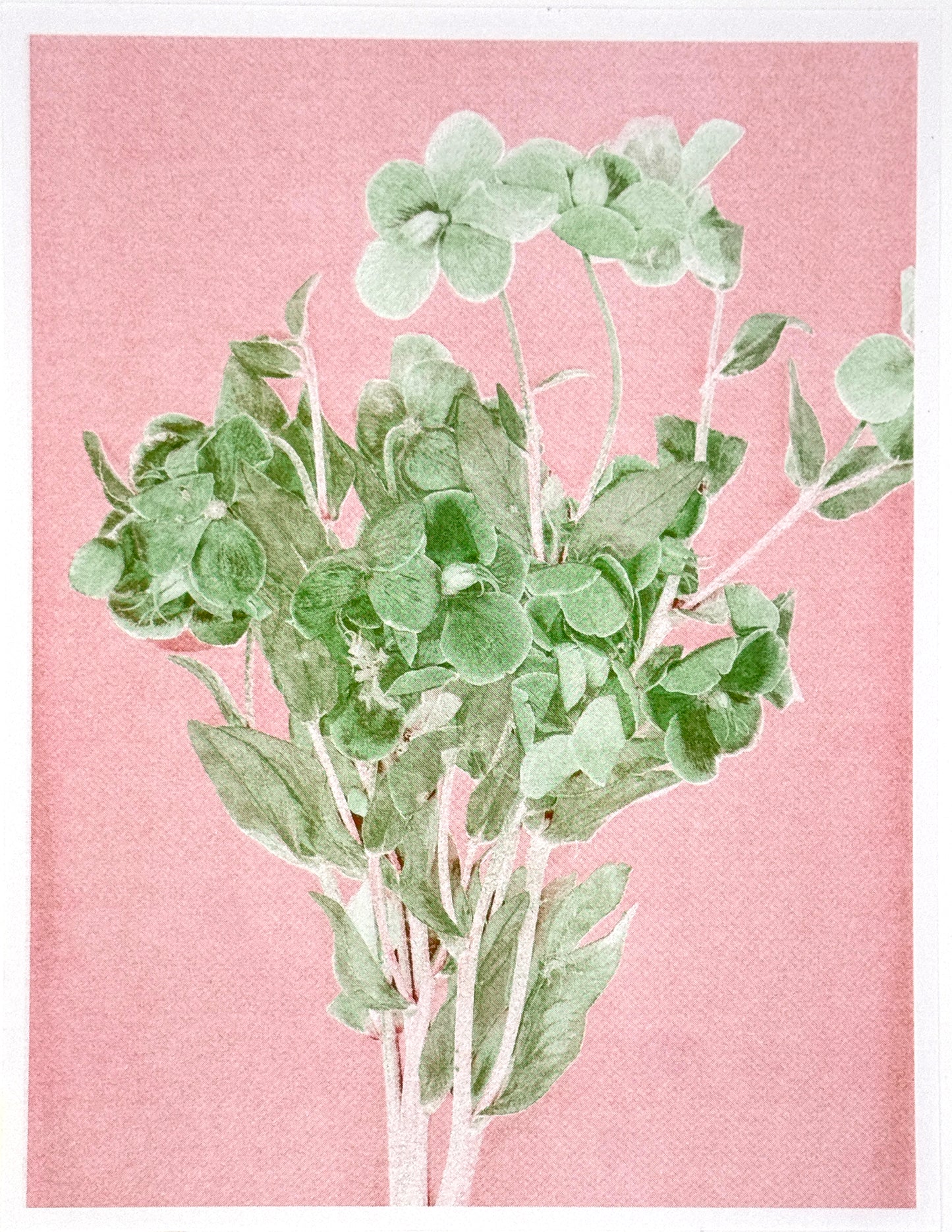 Green Flower 7