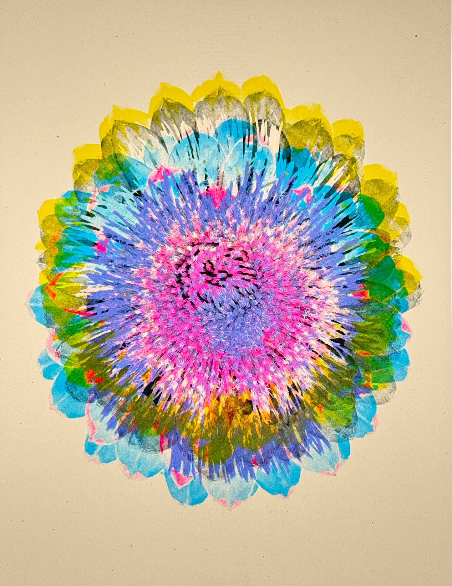 Artichoke 1