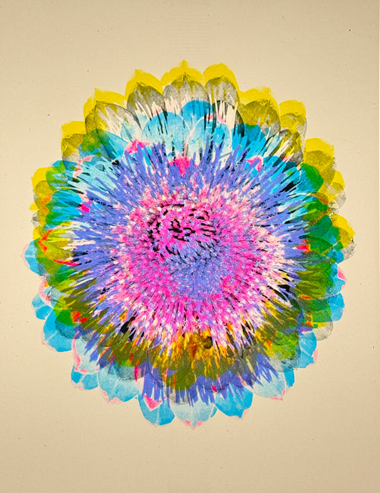 Artichoke 1