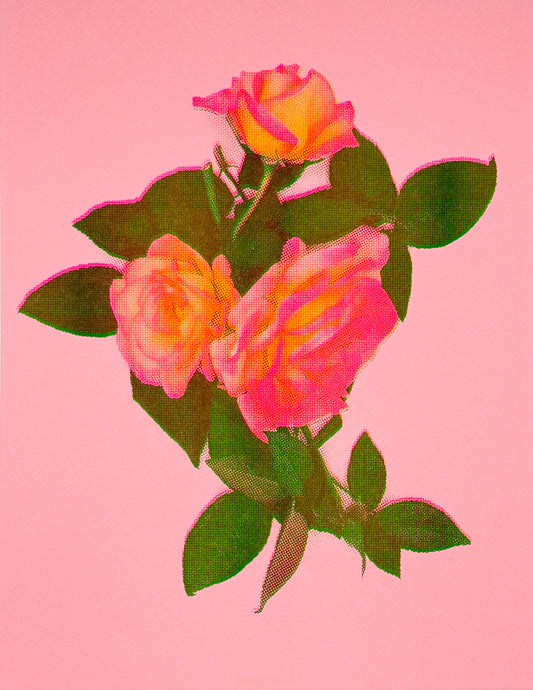 Roses 1