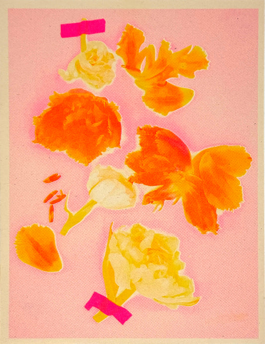 Tulips (Y+P only x2) 1