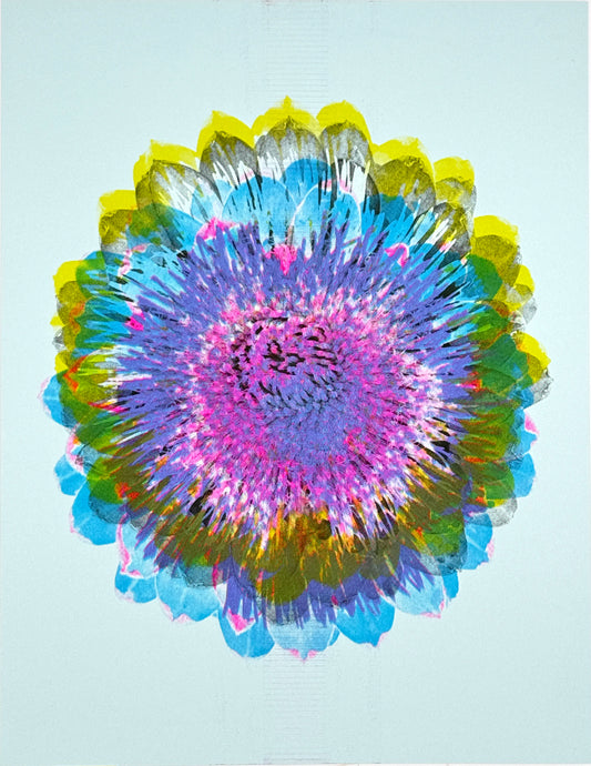 Artichoke 2