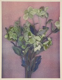 Green Flower 2