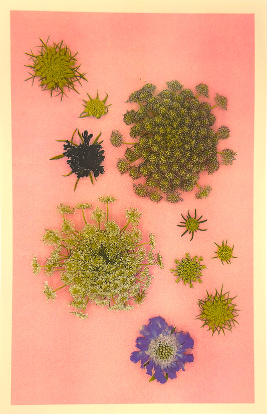 Sparkle Cluster 2