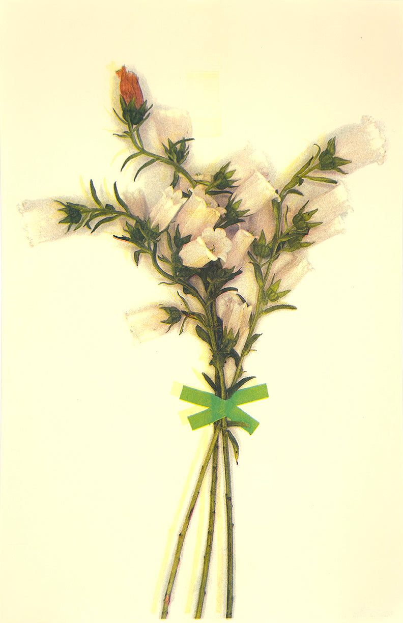White Bells (Registered) 2