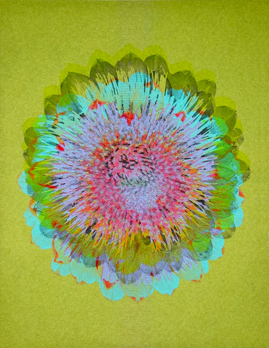 Artichoke 3