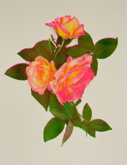 Roses 3