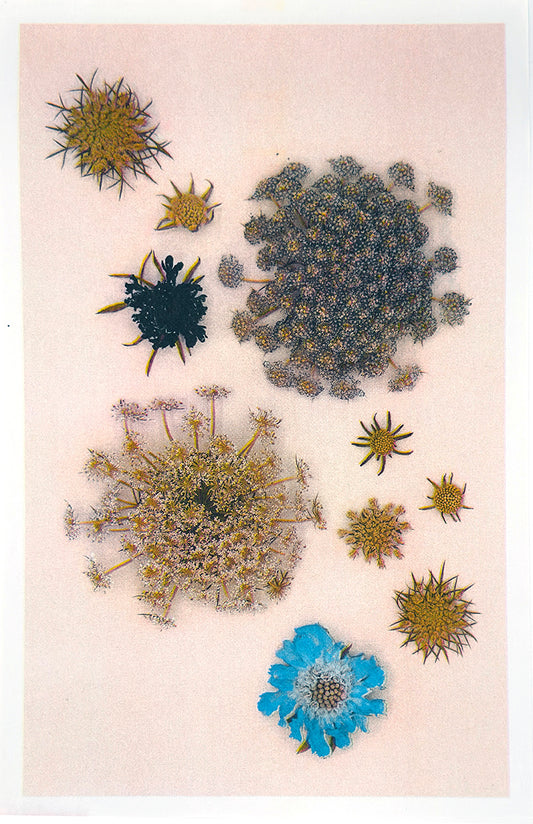 Sparkle Cluster (turquoise flower) 3