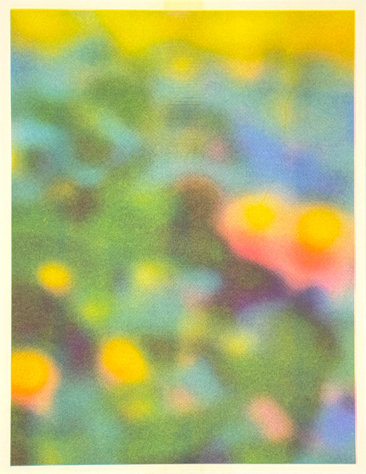 Blur Pond (Y+Px2 on Aqua) 4