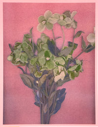 Green Flower 4