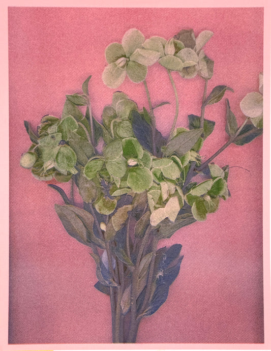 Green Flower 4