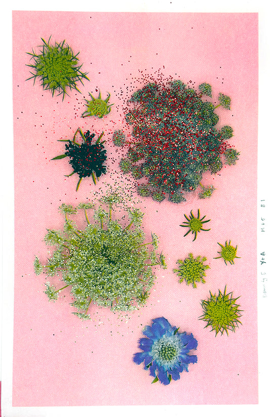 Sparkle Cluster (sparkles) 4