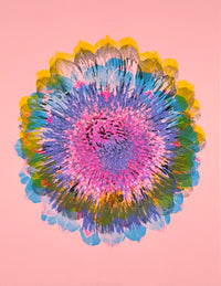 Artichoke 5