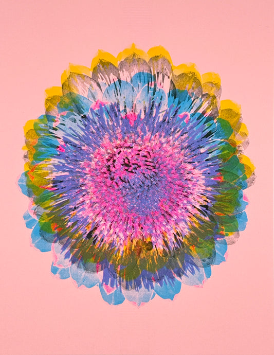 Artichoke 5