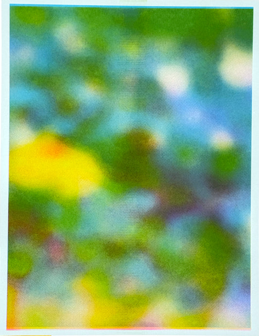 Blur Pond (Flipped) 5