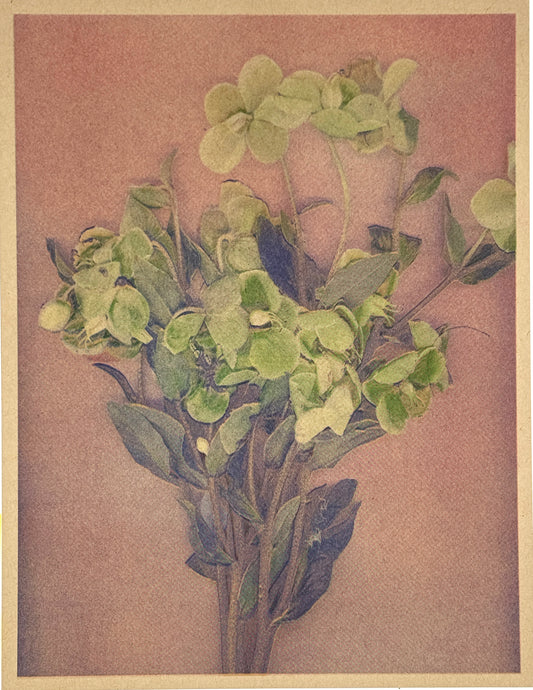 Green Flower 5