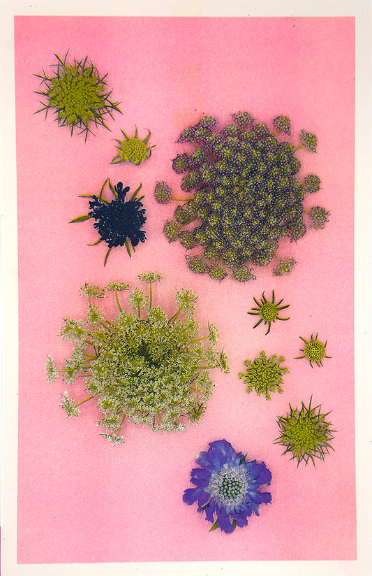 Sparkle Cluster (purple flower) 5