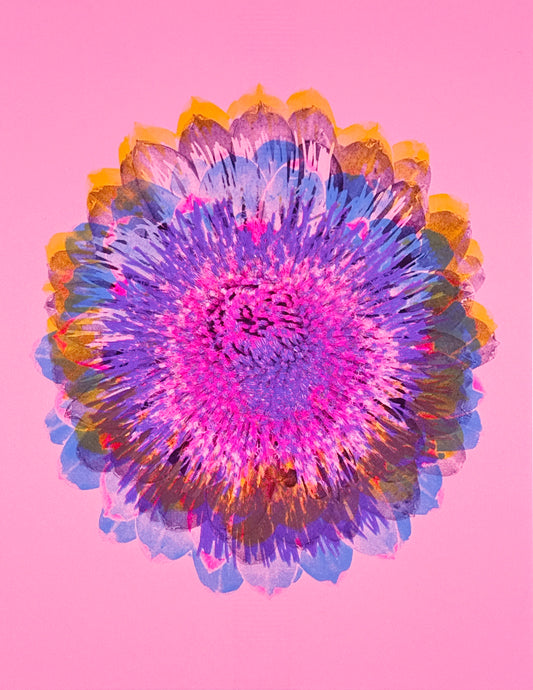 Artichoke 6