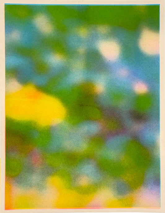 Blur Pond (Flipped) 6