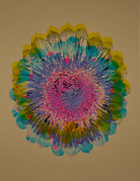 Artichoke 7