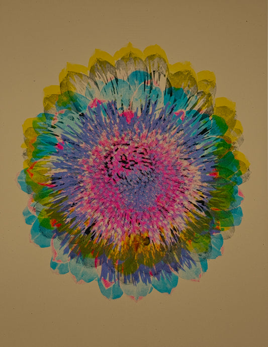 Artichoke 7