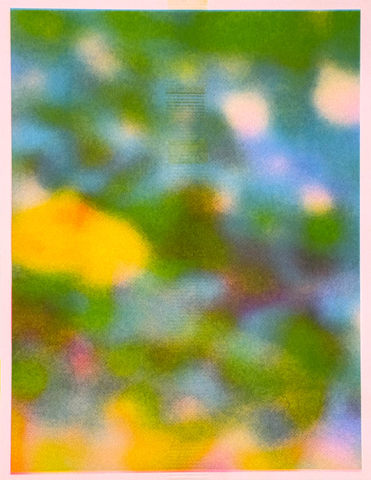 Blur Pond (Flipped) 7