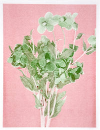 Green Flower 7