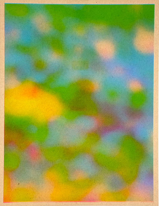 Blur Pond (Flipped) 8