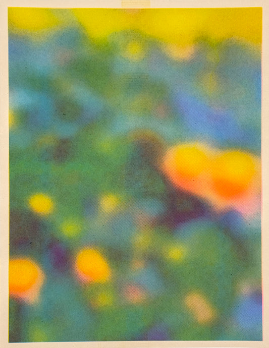 Blur Pond (Aqua on Y+P) 9
