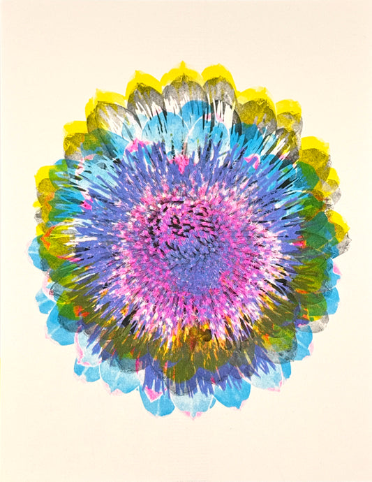 Artichoke 9