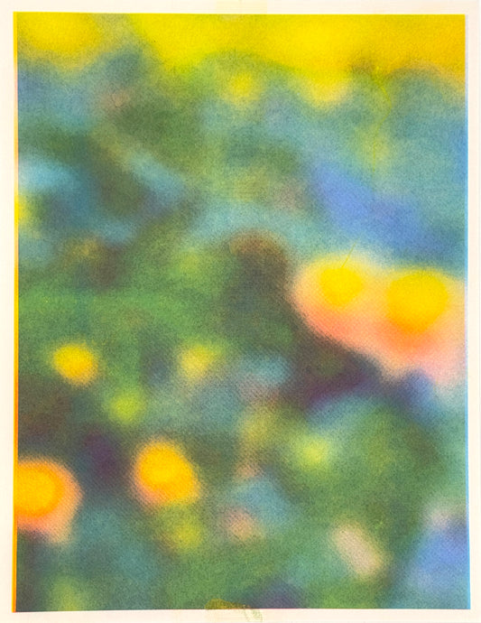 Blur Pond (Aqua on Y+P) 10
