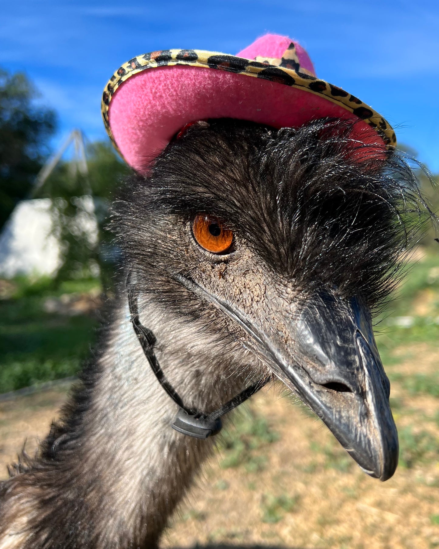 Paint T-Shirts: March 15, 2026 - Morning Session